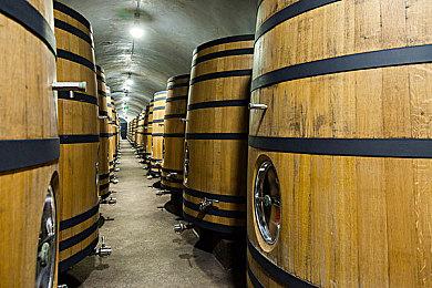 虚幻5朱莉版《古墓丽影》电影人物模型展示